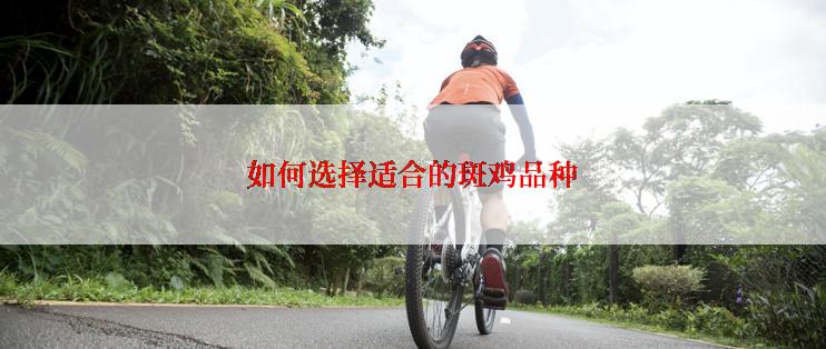 如何选择适合的斑鸡品种
