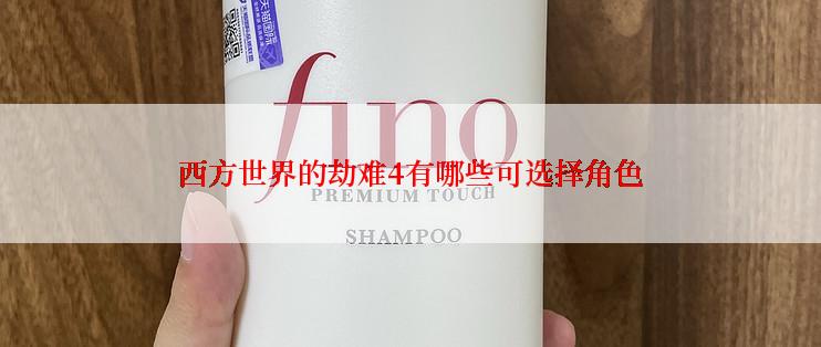 西方世界的劫难4有哪些可选择角色