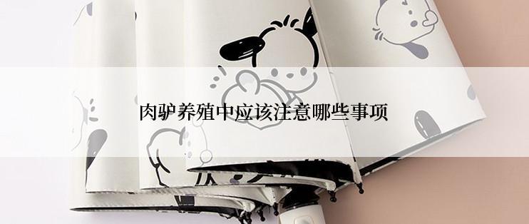 肉驴养殖中应该注意哪些事项