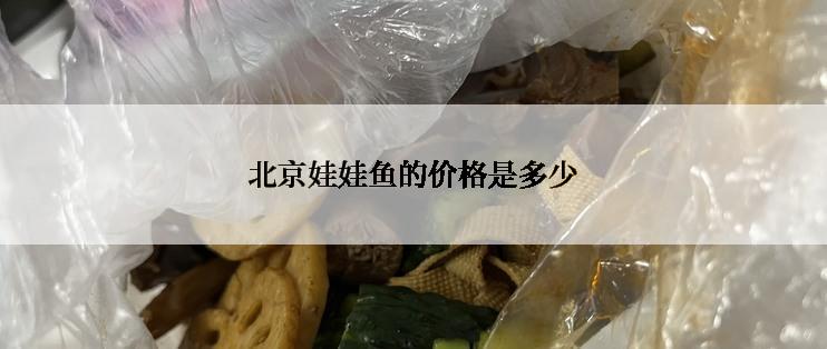 北京娃娃鱼的价格是多少