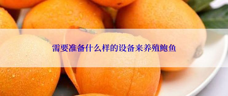 需要准备什么样的设备来养殖鲍鱼