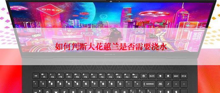  如何判断大花蕙兰是否需要浇水