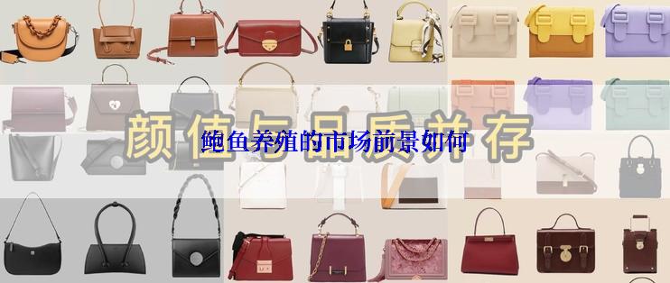 鲍鱼养殖的市场前景如何