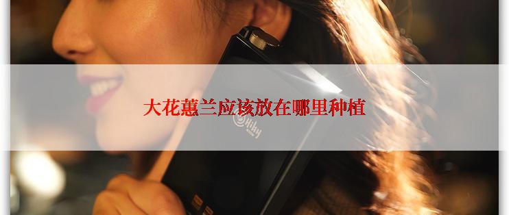 大花蕙兰应该放在哪里种植