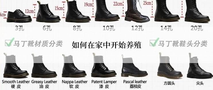 如何在家中开始养殖