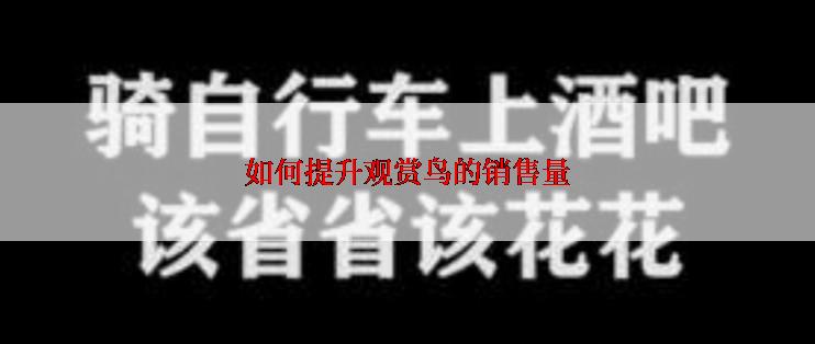 如何提升观赏鸟的销售量