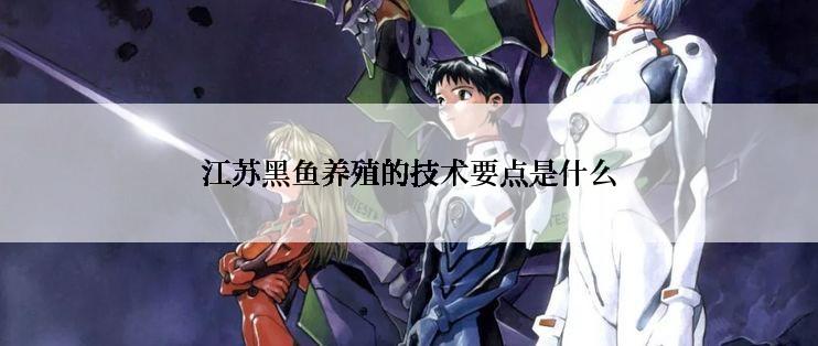 江苏黑鱼养殖的技术要点是什么