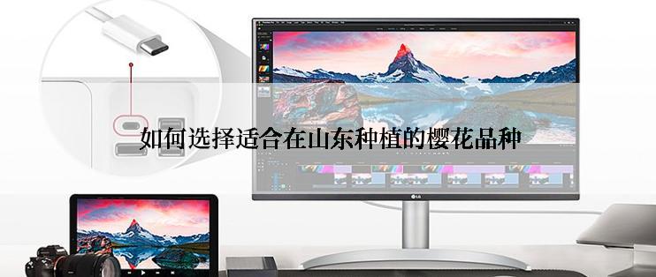  如何选择适合在山东种植的樱花品种