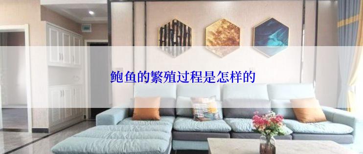  鲍鱼的繁殖过程是怎样的