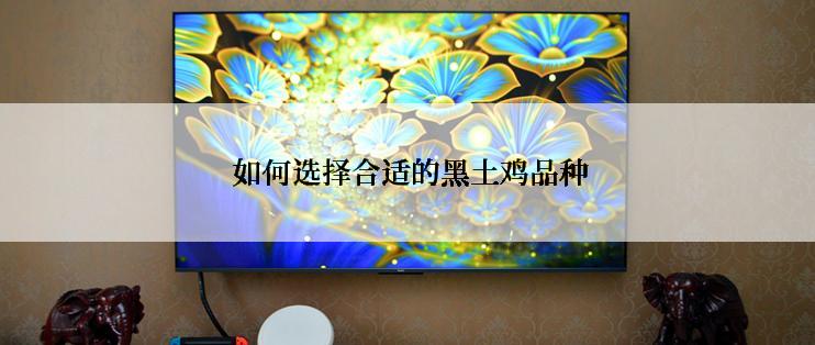  如何选择合适的黑土鸡品种
