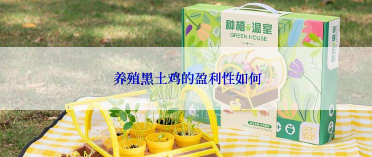  养殖黑土鸡的盈利性如何