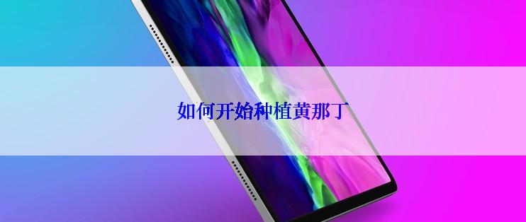 如何开始种植黄那丁