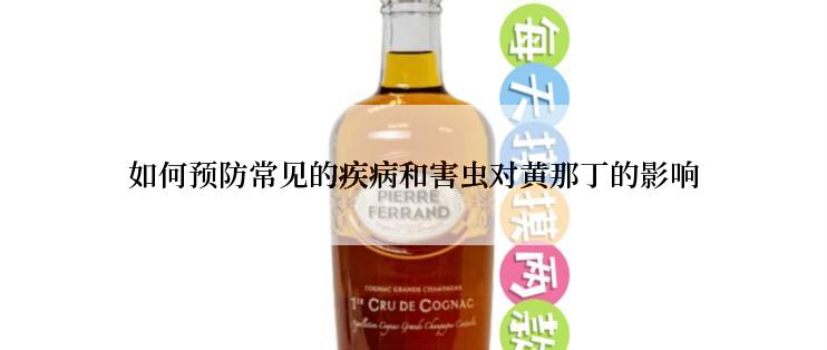 如何预防常见的疾病和害虫对黄那丁的影响