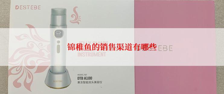 锦稚鱼的销售渠道有哪些