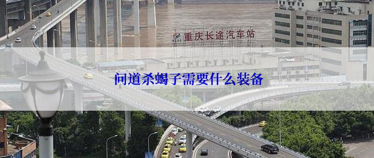 问道杀蝎子需要什么装备