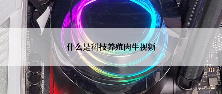 什么是科技养殖肉牛视频