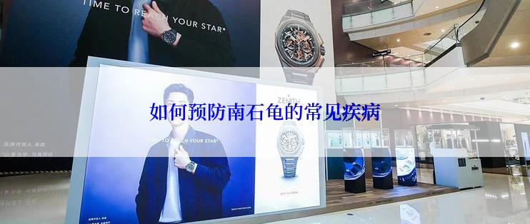 如何预防南石龟的常见疾病