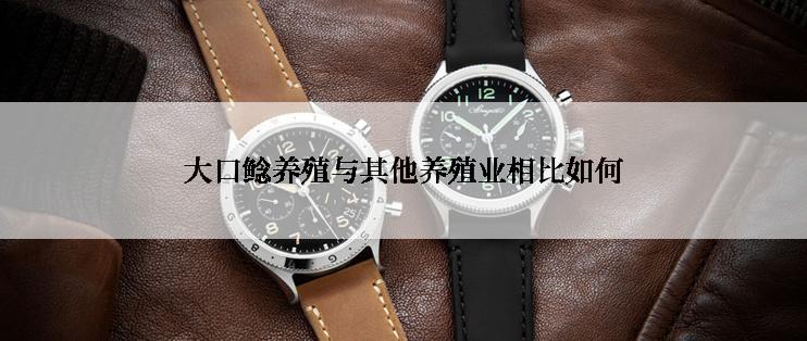 大口鲶养殖与其他养殖业相比如何