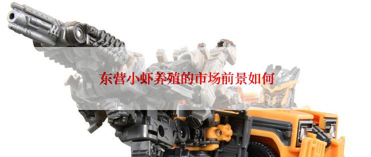  东营小虾养殖的市场前景如何