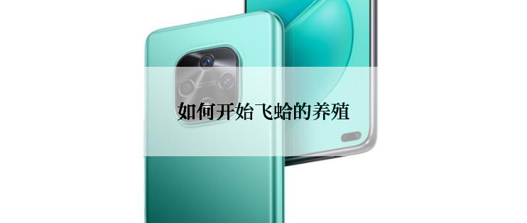 如何开始飞蛤的养殖