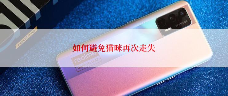 如何避免猫咪再次走失