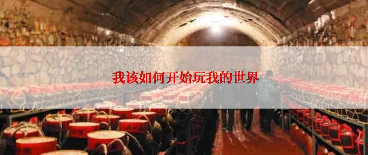  我该如何开始玩我的世界