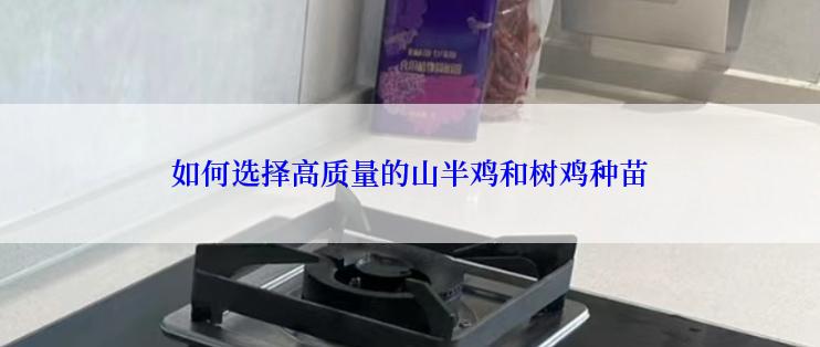 如何选择高质量的山半鸡和树鸡种苗