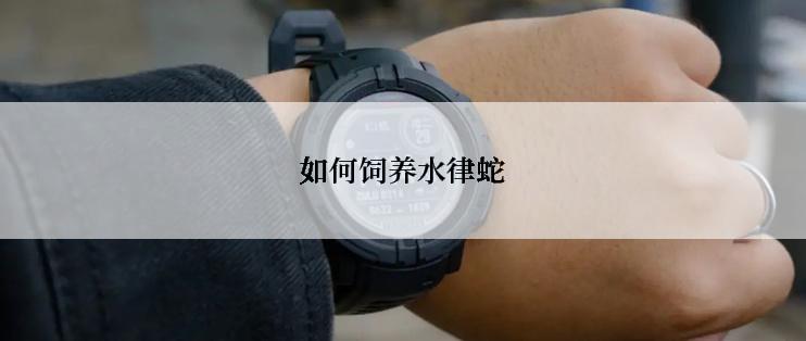 如何饲养水律蛇