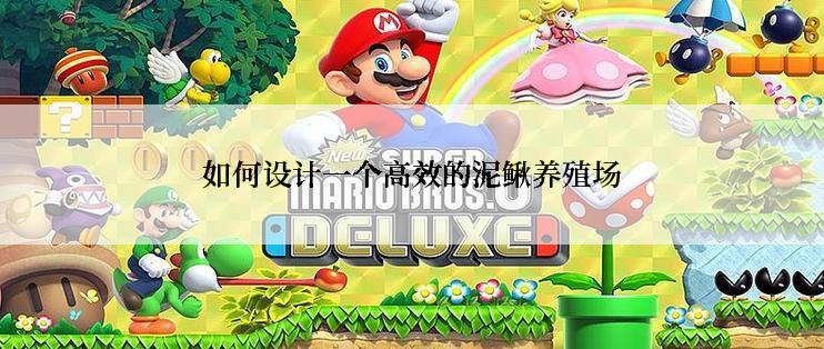 如何设计一个高效的泥鳅养殖场