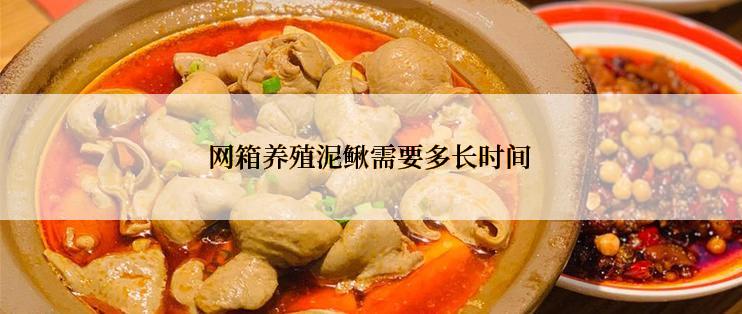 网箱养殖泥鳅需要多长时间