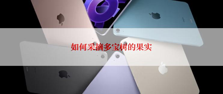 如何采摘多宝树的果实
