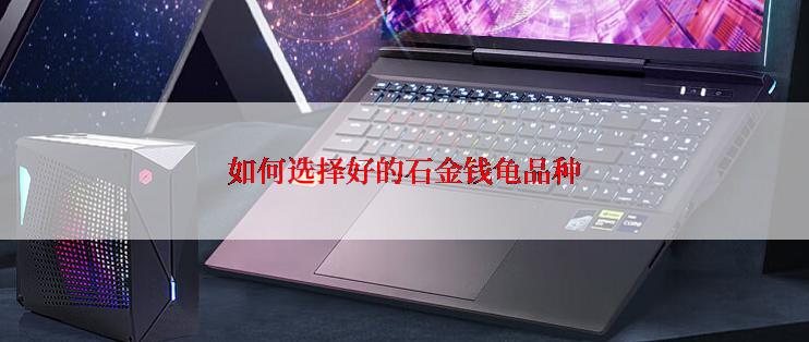 如何选择好的石金钱龟品种