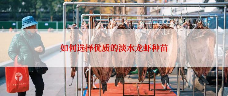 如何选择优质的淡水龙虾种苗