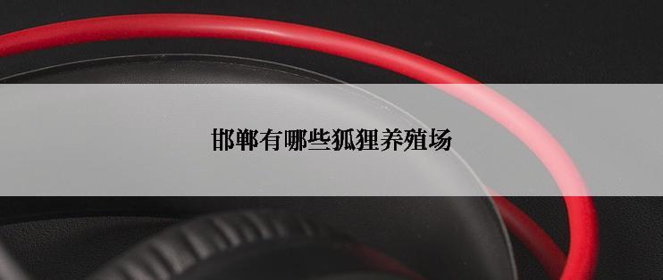 邯郸有哪些狐狸养殖场