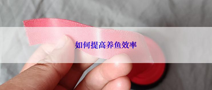 如何提高养鱼效率