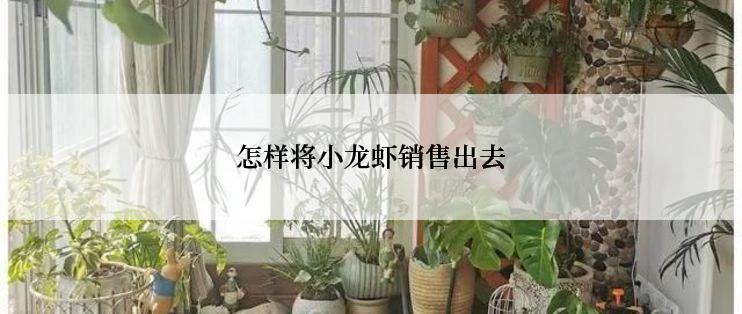 怎样将小龙虾销售出去