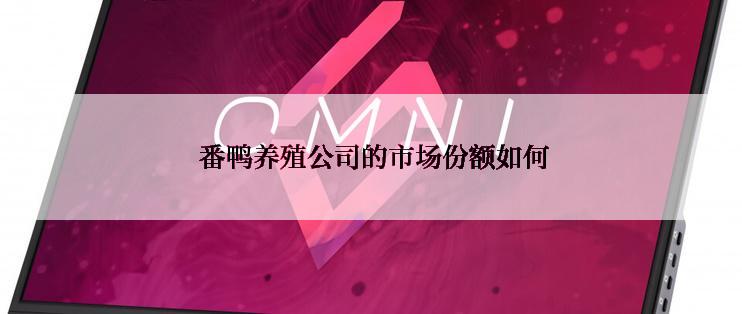  番鸭养殖公司的市场份额如何