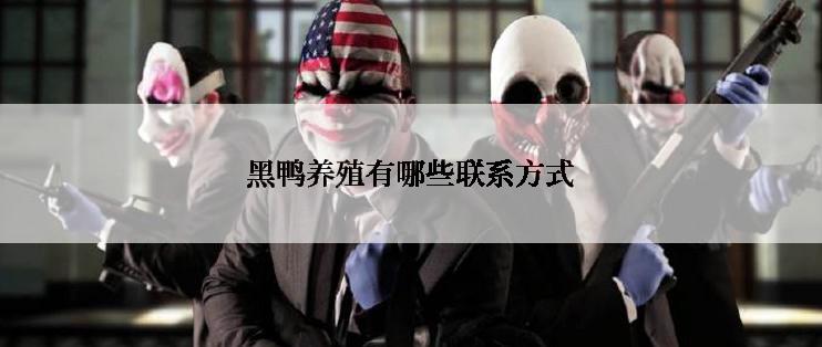 黑鸭养殖有哪些联系方式