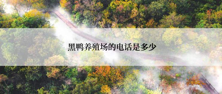  黑鸭养殖场的电话是多少