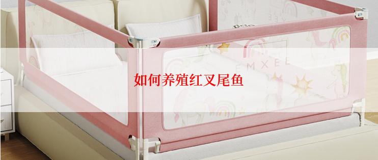 如何养殖红叉尾鱼