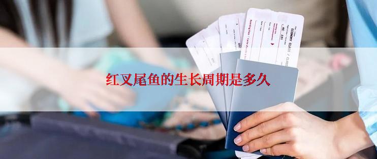 红叉尾鱼的生长周期是多久