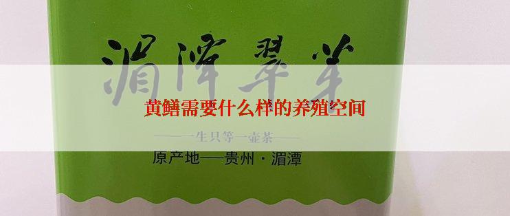 黄鳝需要什么样的养殖空间