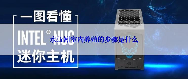 水蚯蚓室内养殖的步骤是什么