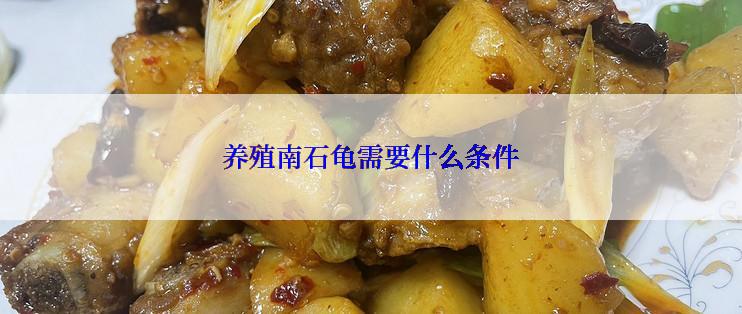 养殖南石龟需要什么条件