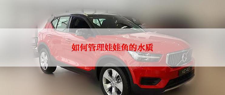 如何管理娃娃鱼的水质