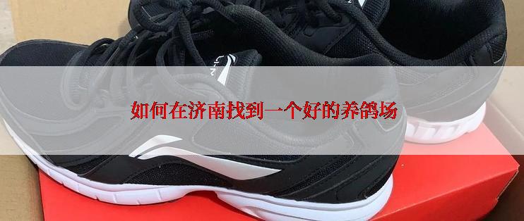  如何在济南找到一个好的养鸽场