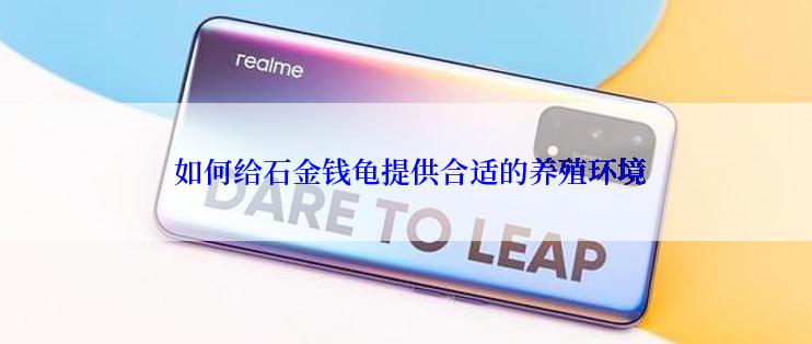  如何给石金钱龟提供合适的养殖环境