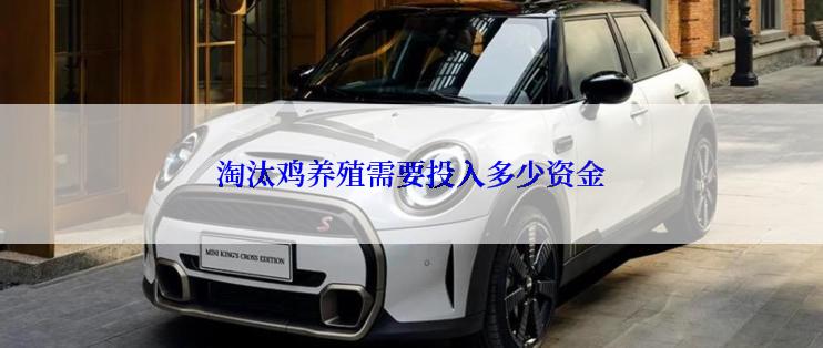 淘汰鸡养殖需要投入多少资金