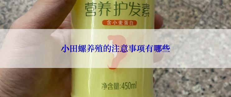 小田螺养殖的注意事项有哪些