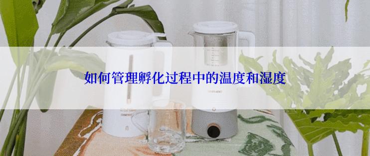 如何管理孵化过程中的温度和湿度